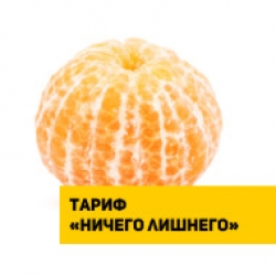 Акция «Ничего лишнего»